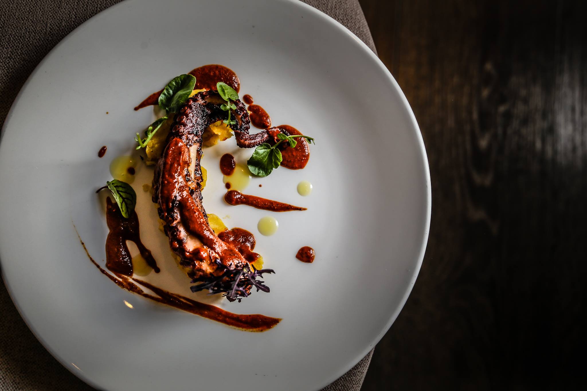 Pulpo
